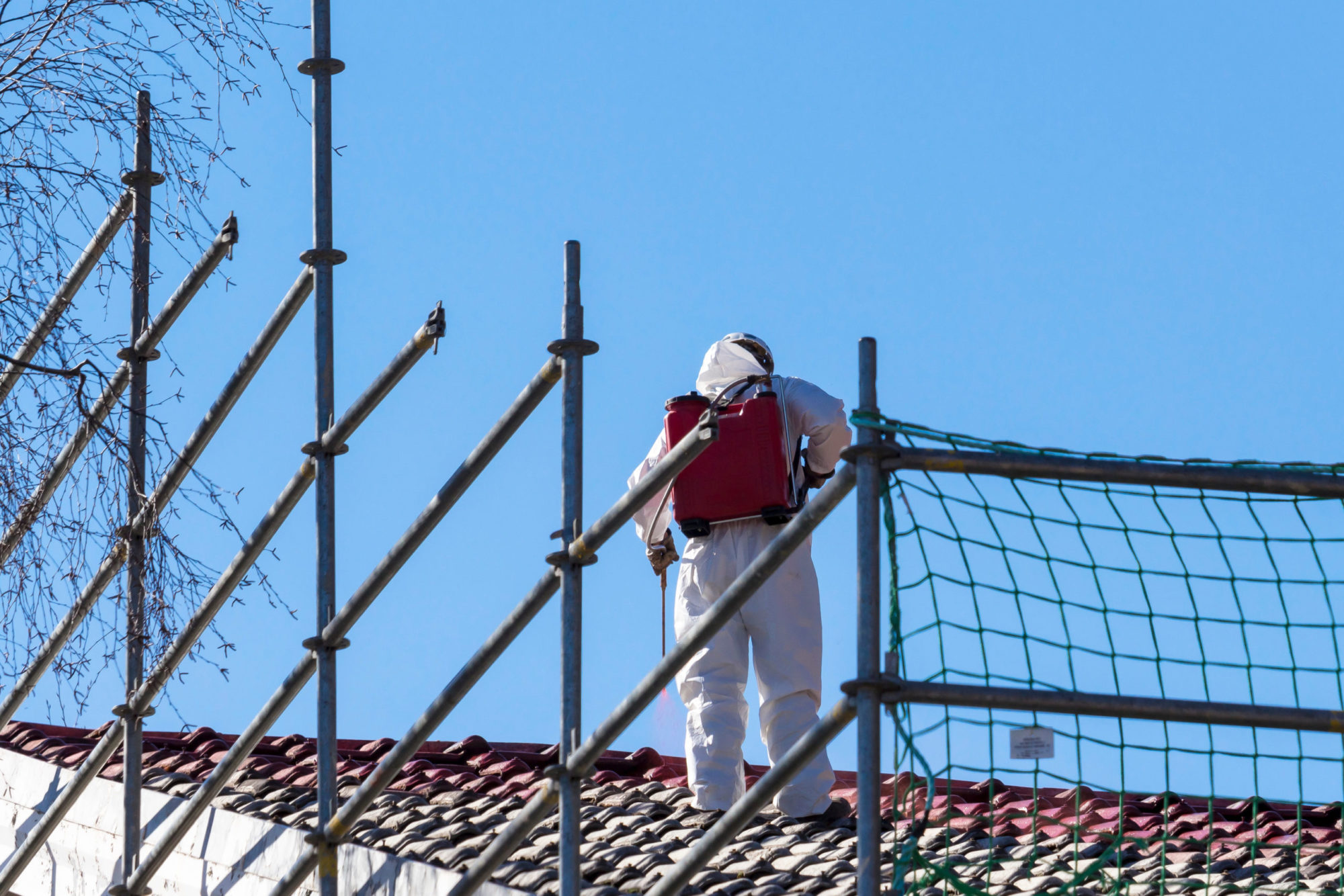 Man on Roof Checking for Asbestos